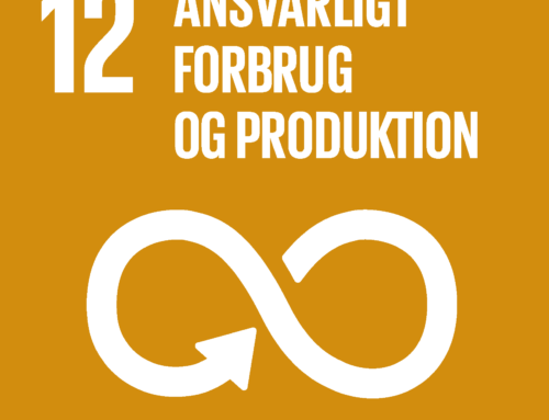 12 Ansvarligt forbrug og produktion