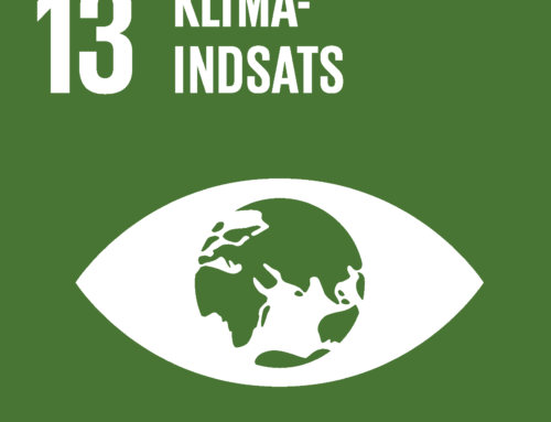 13 Klimaindsats