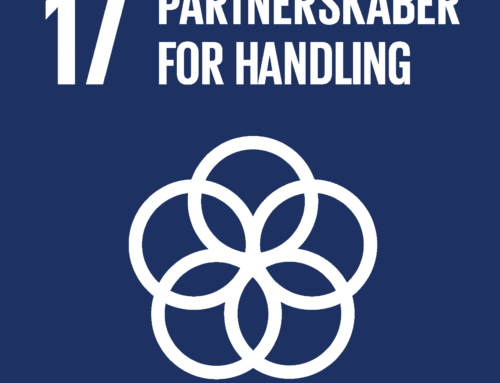 17 Partnerskaber for handling